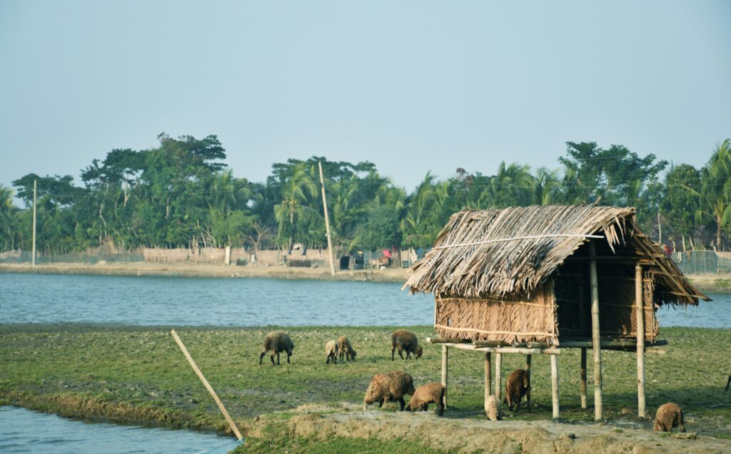 offbeat tour in north bengal